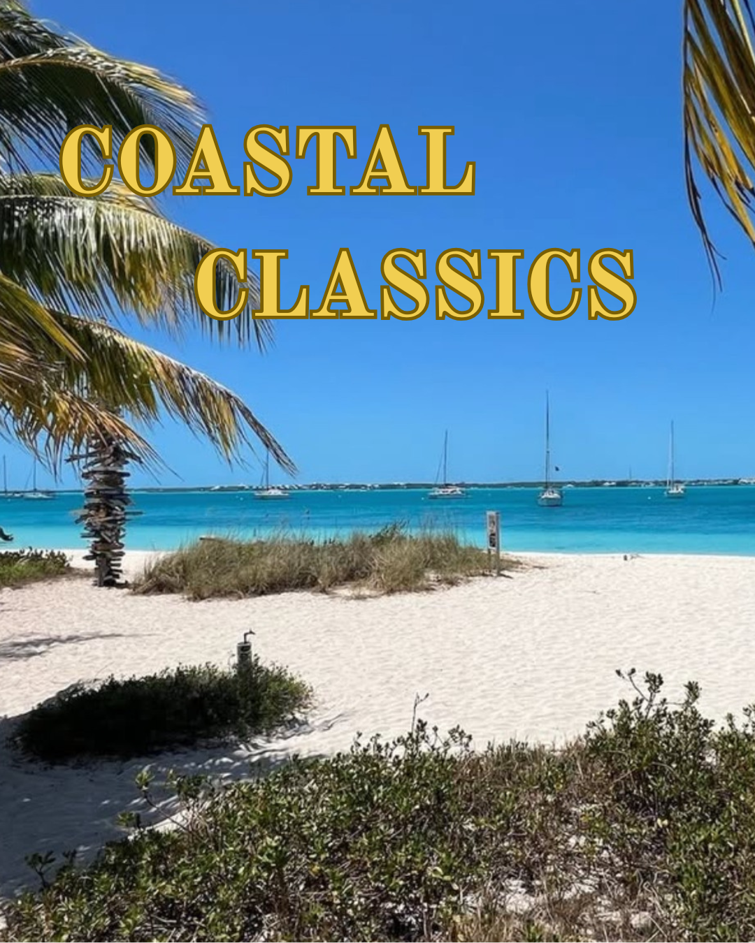 White sand path leading over the dunes to the ocean