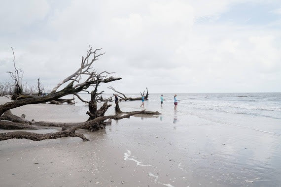 COASTAL COLLECTIONS