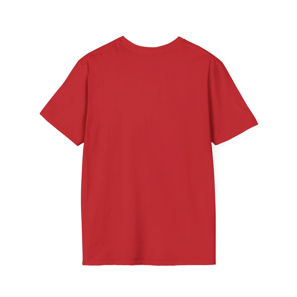 America 250 flag T-Shirt