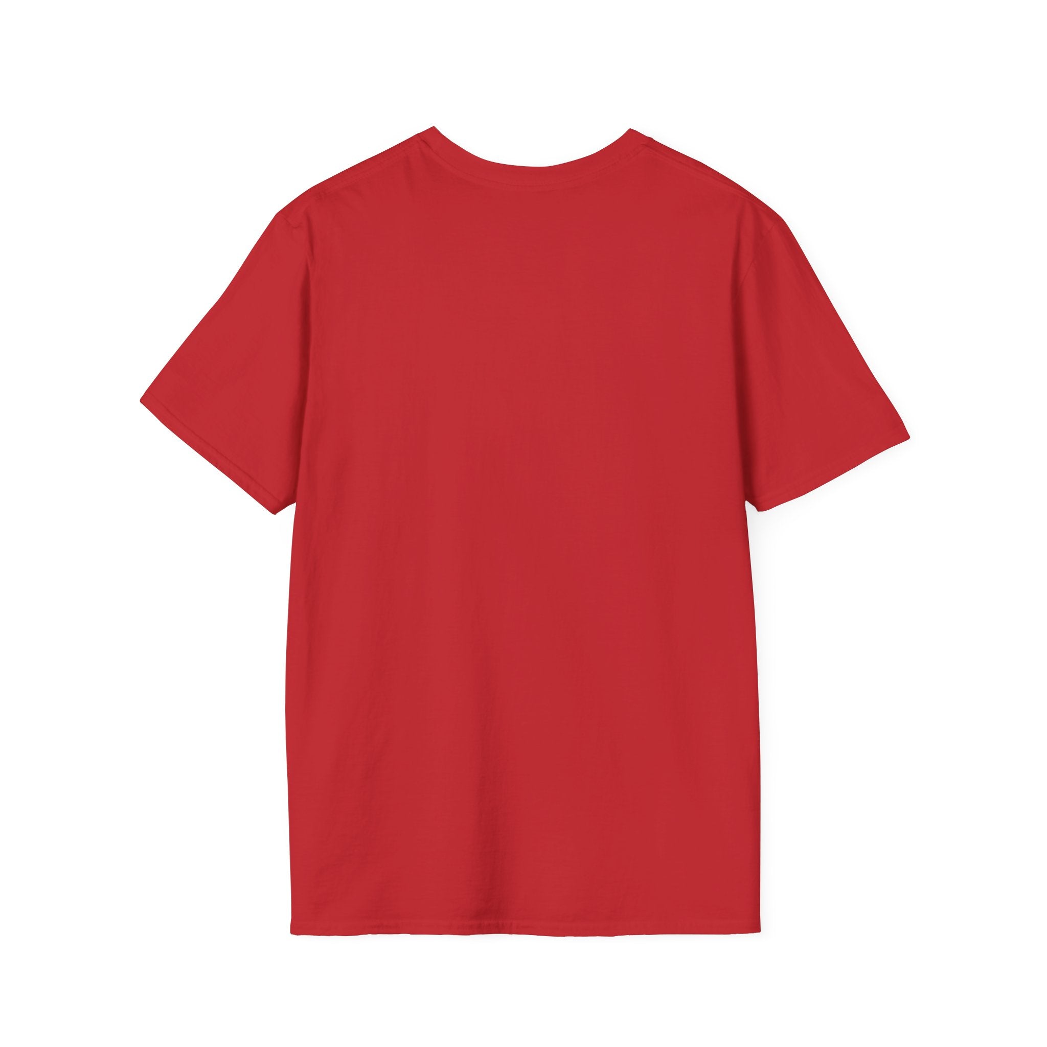 America 250 flag T-Shirt