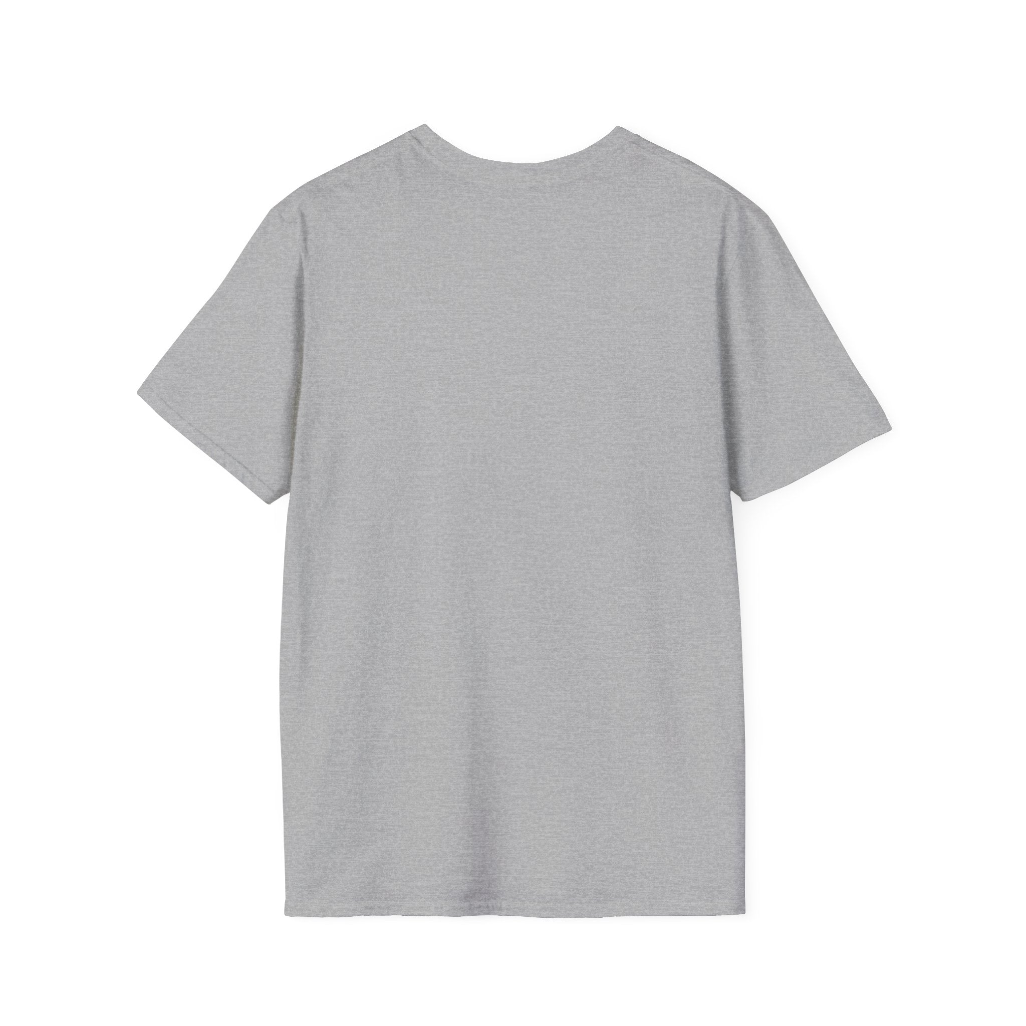 America 250 flag T-Shirt